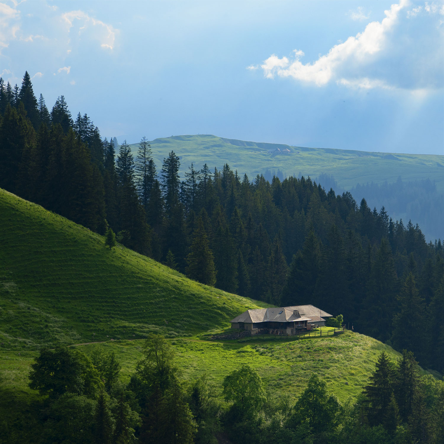 View from Le Moléson (CH)